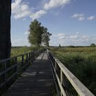 Steg am Federsee