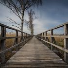 Steg am Federsee