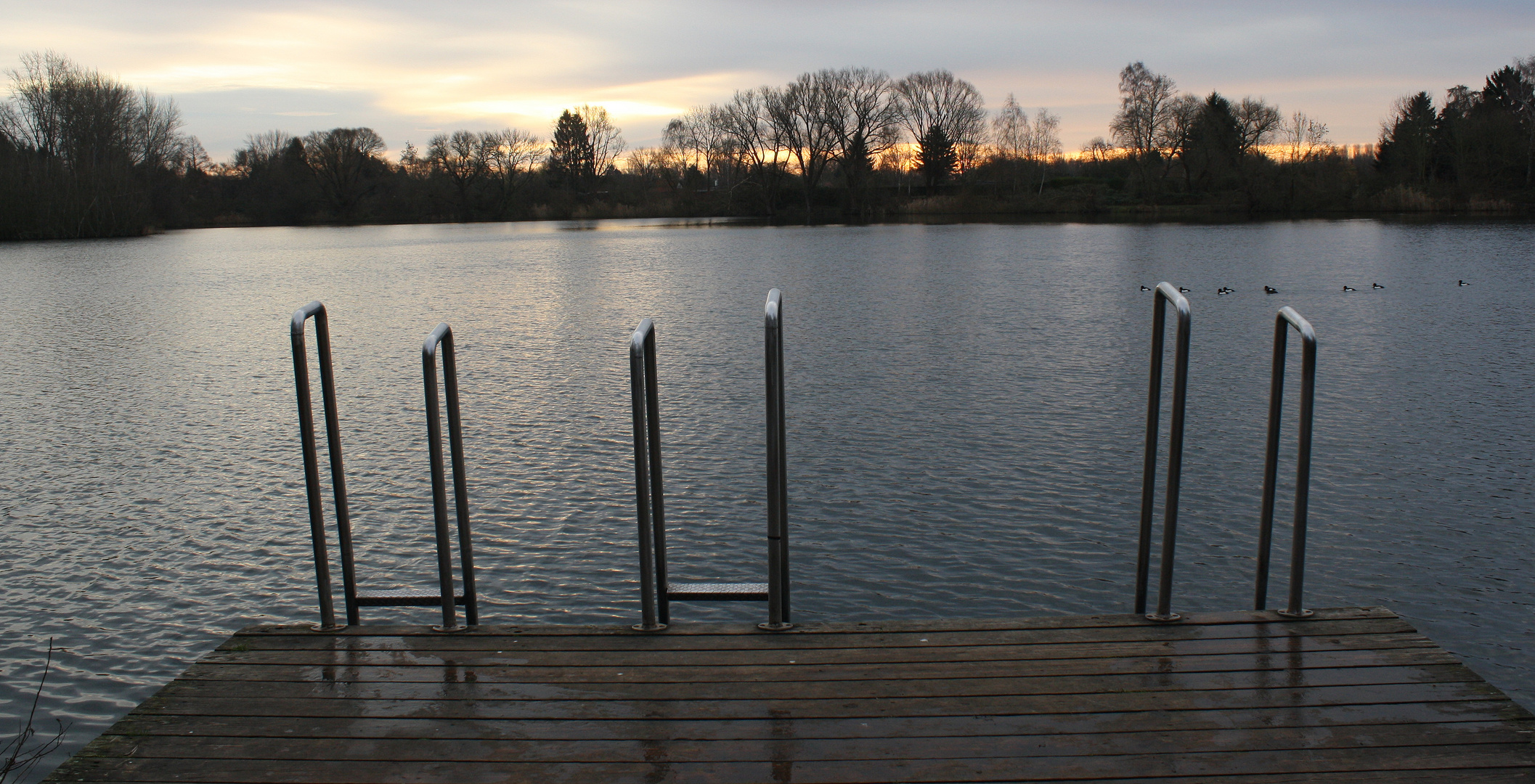 Steg am FKK Teich Foto & Bild landschaft, bach, fluss & see, see