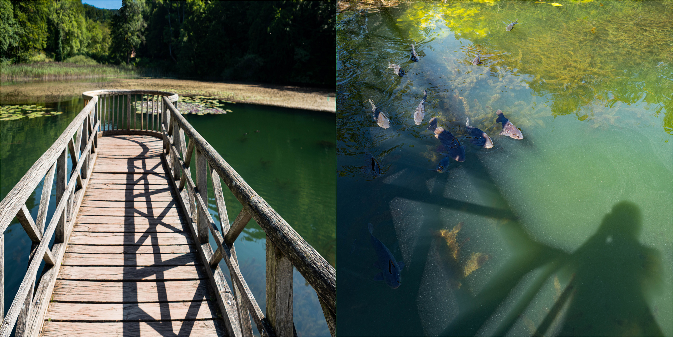 Steg am mittleren Weiher