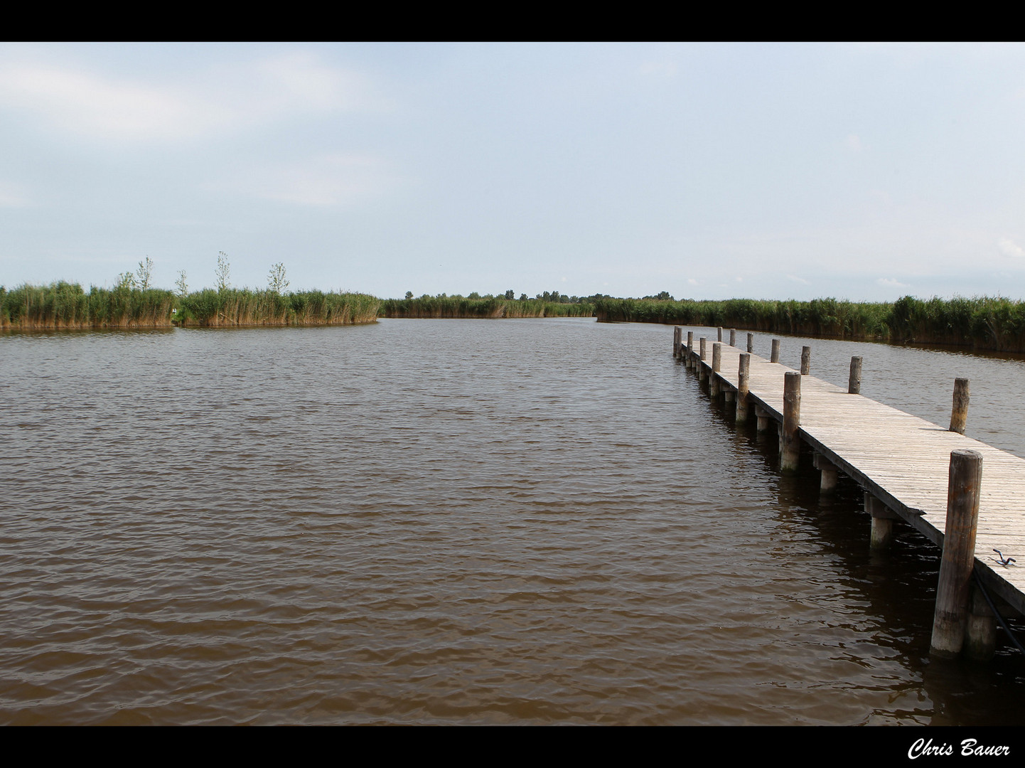 Steg am Neusiedlersee