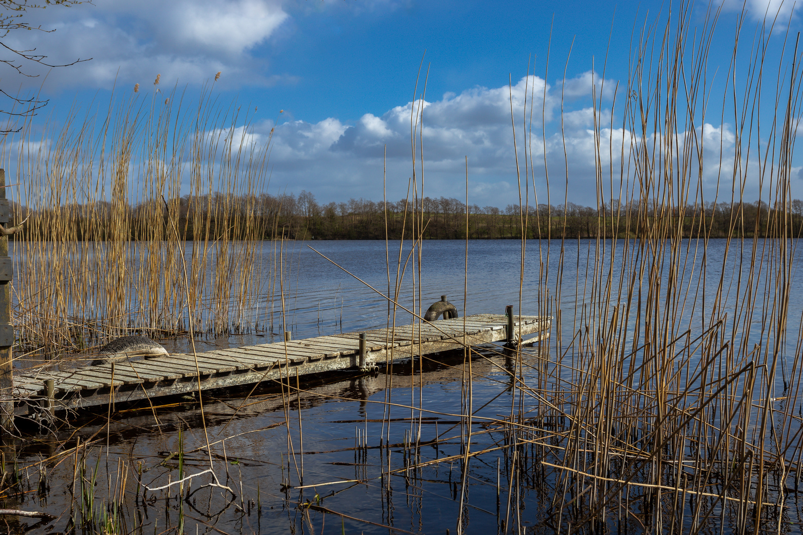 Steg am Sankelmarker See