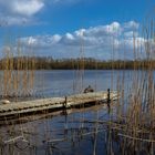 Steg am Sankelmarker See