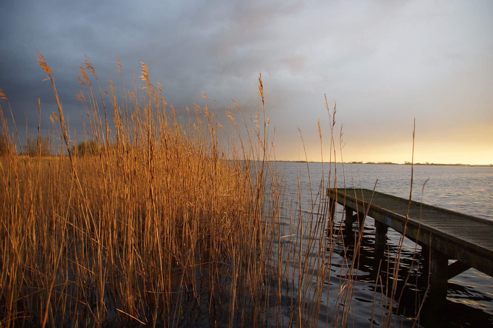 Steg am See