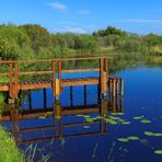 Steg am See