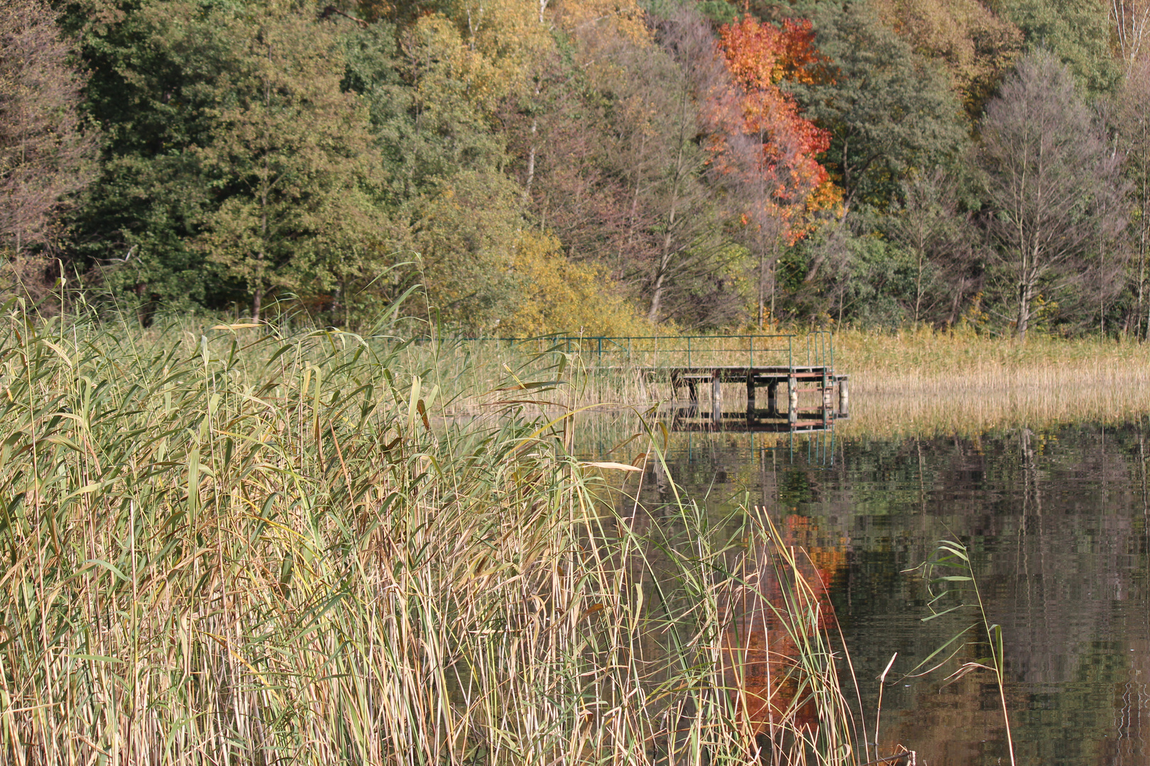 Steg am See