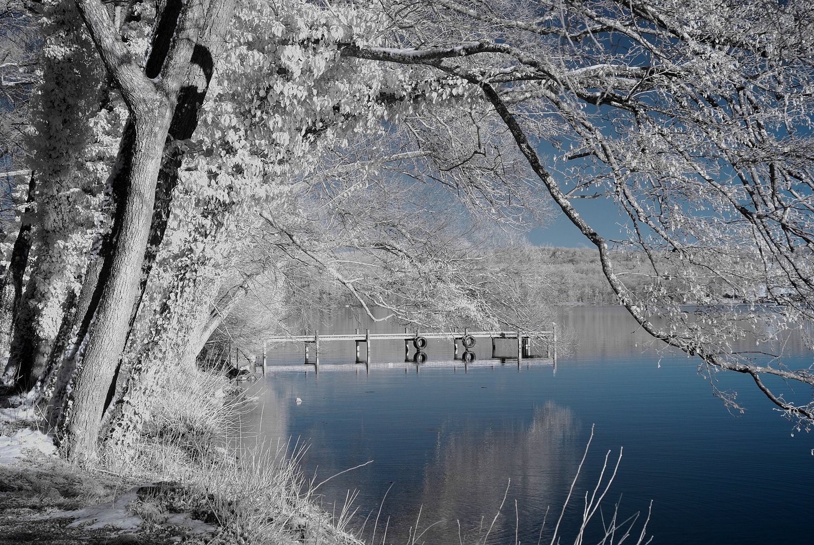 Steg am Starnberger See