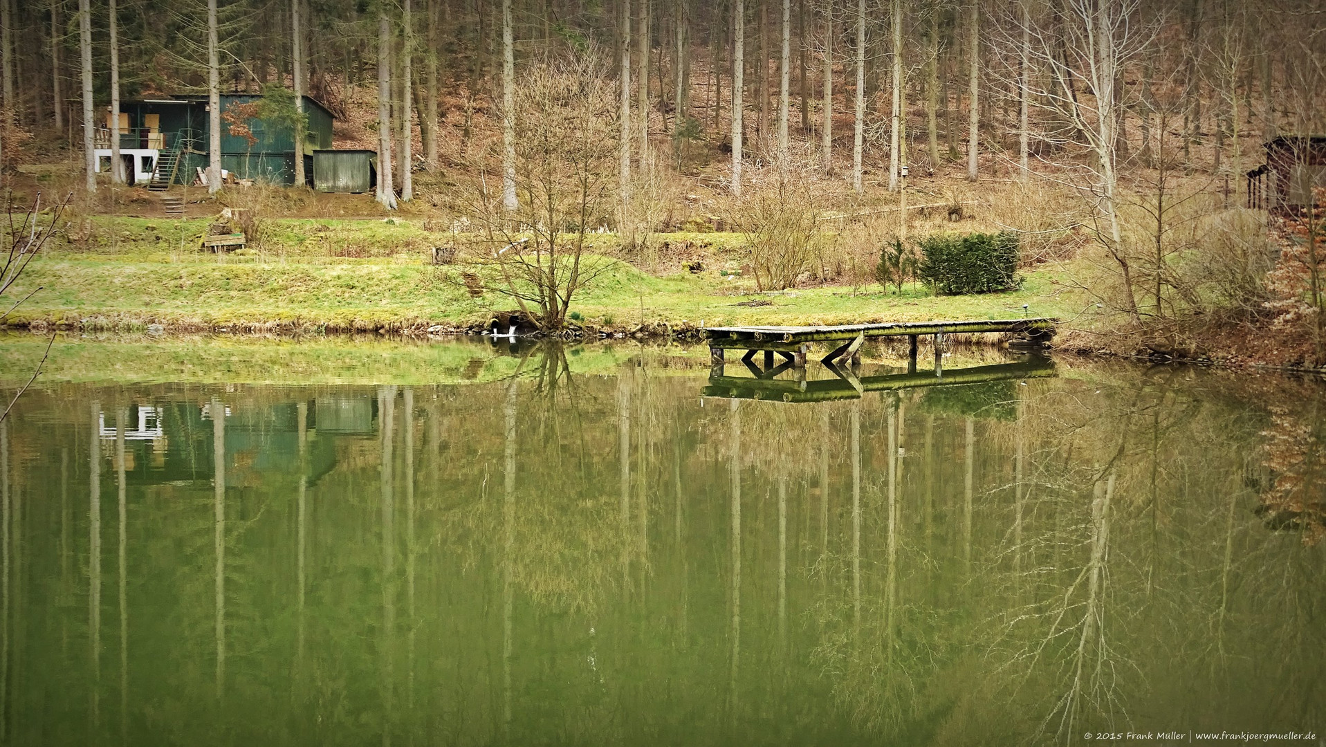 Steg am Weiher (2)