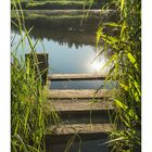 Steg am Weiher