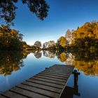 Steg am Weiher im Herbst