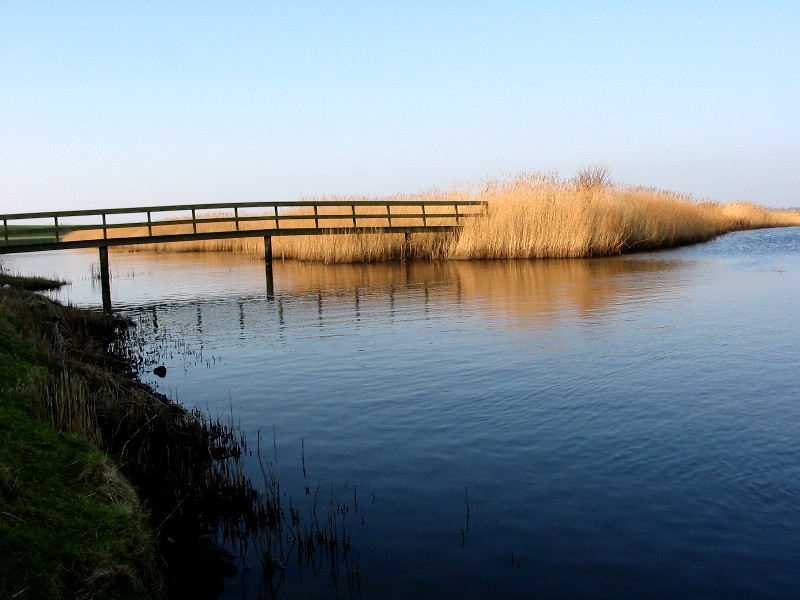 Steg auf Ameland