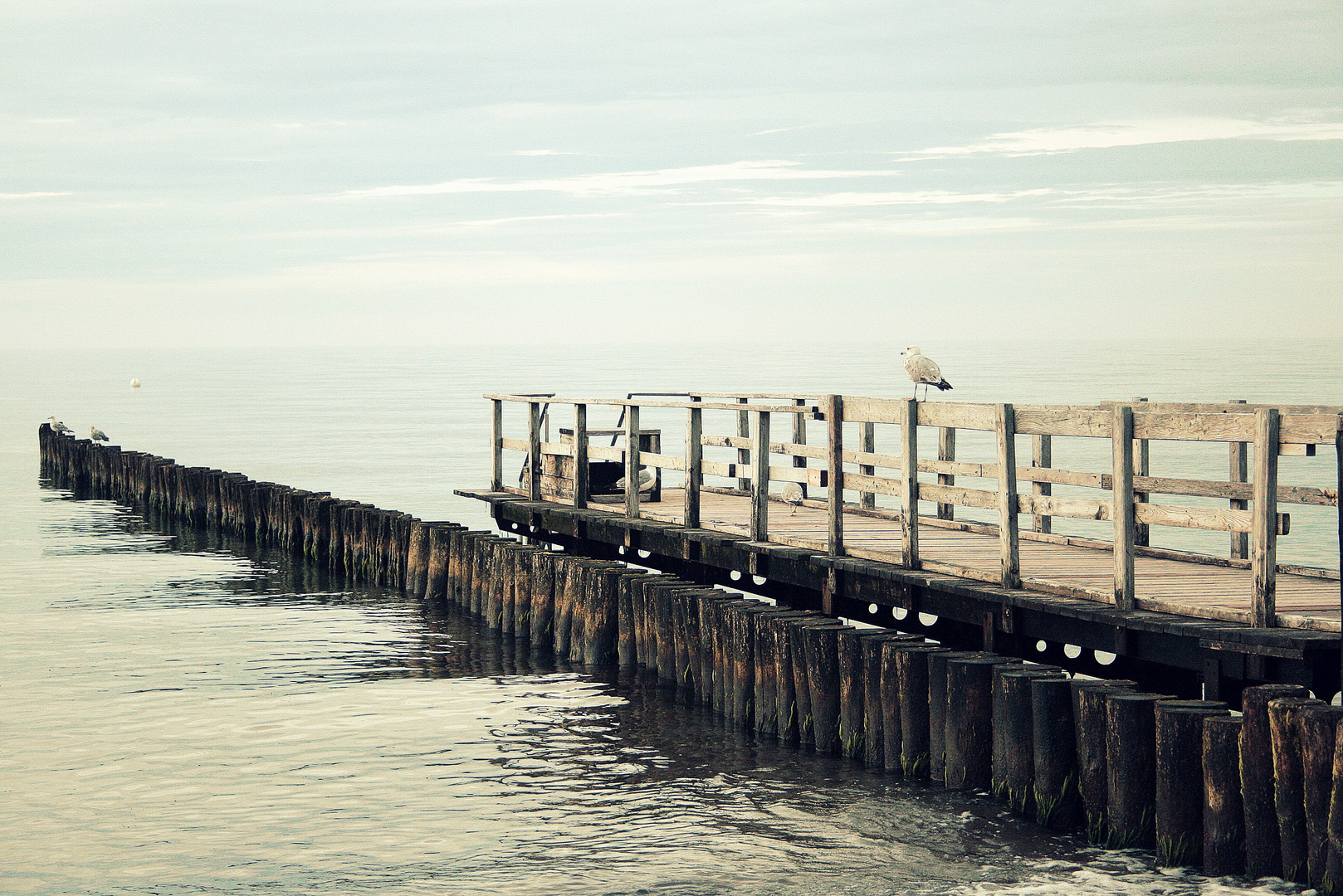 Steg auf die Nordsee