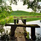 Steg beim Horbacherweiher