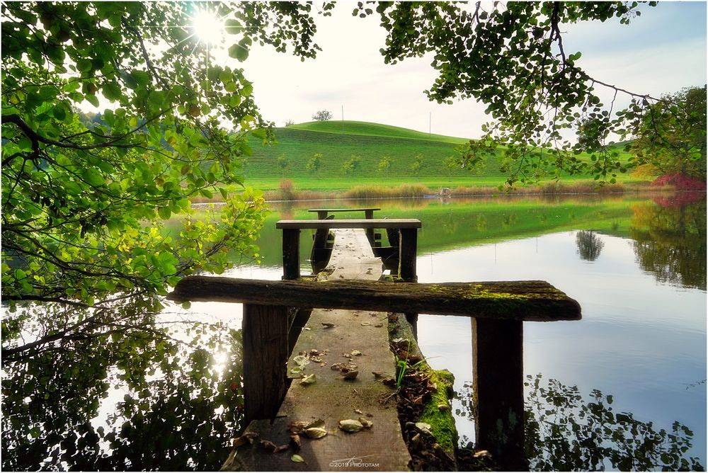 Steg beim Horbacherweiher