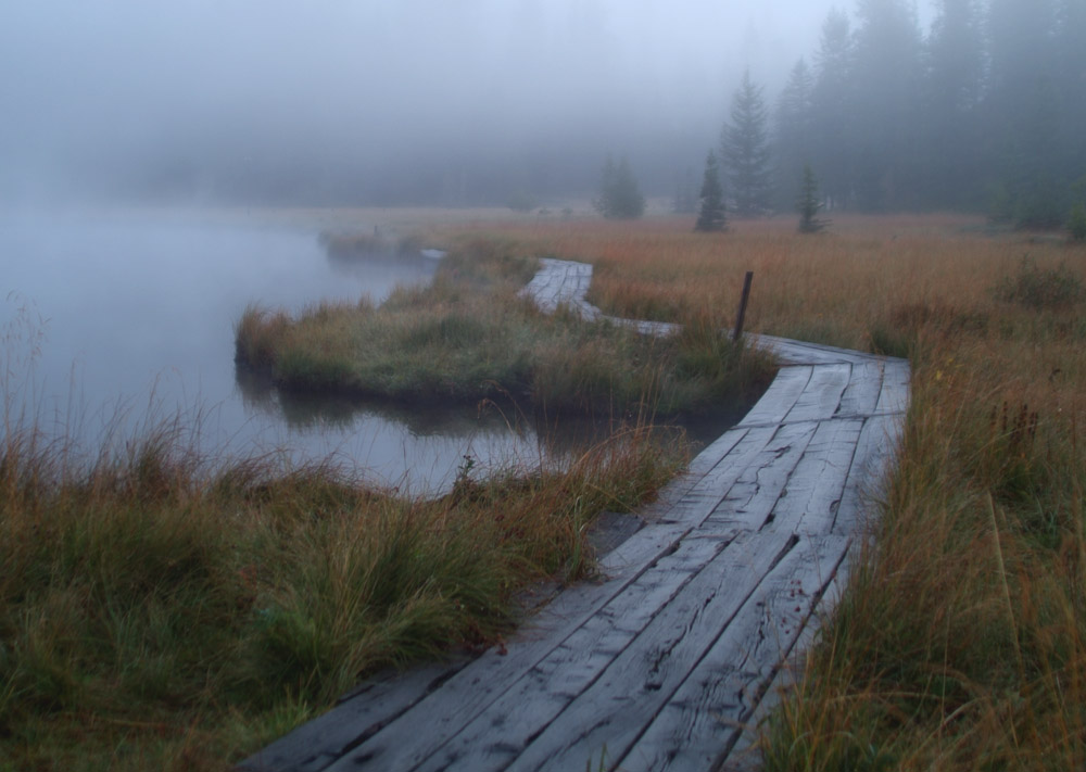 Steg beim Prebersee