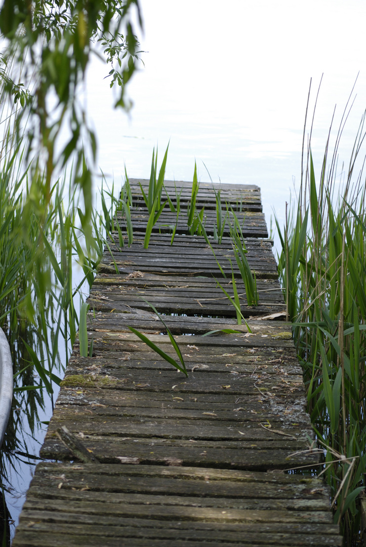 Steg beim Sonntagsspaziergang