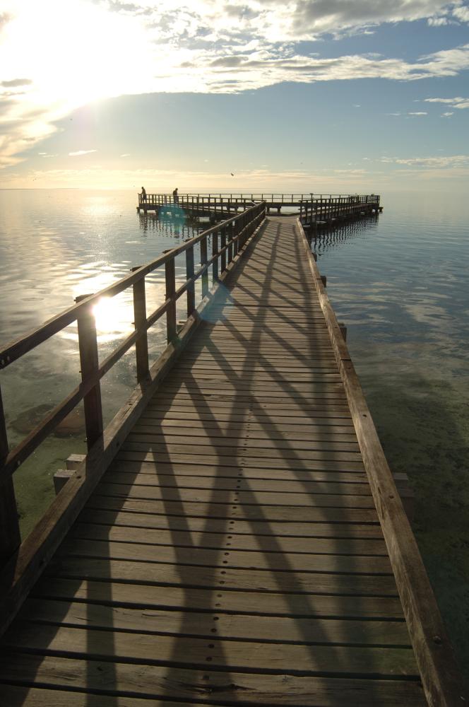 Steg Hamelin Pool - Shark Bay