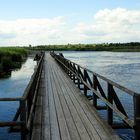 Steg im Federsee-Bad Buchau