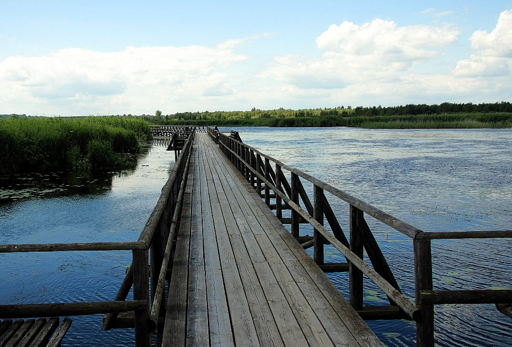 Steg im Federsee-Bad Buchau von Heidi M. W. 