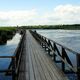 Steg im Federsee-Bad Buchau