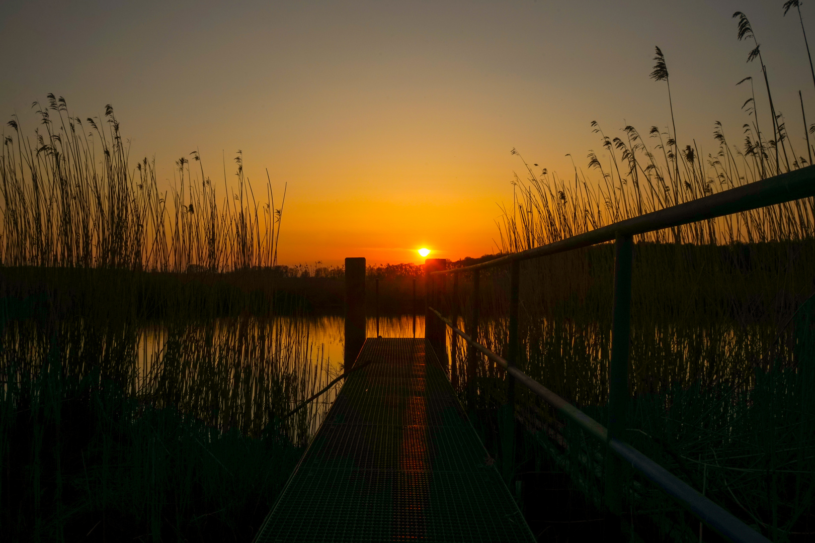 Steg im Sonnenuntergang