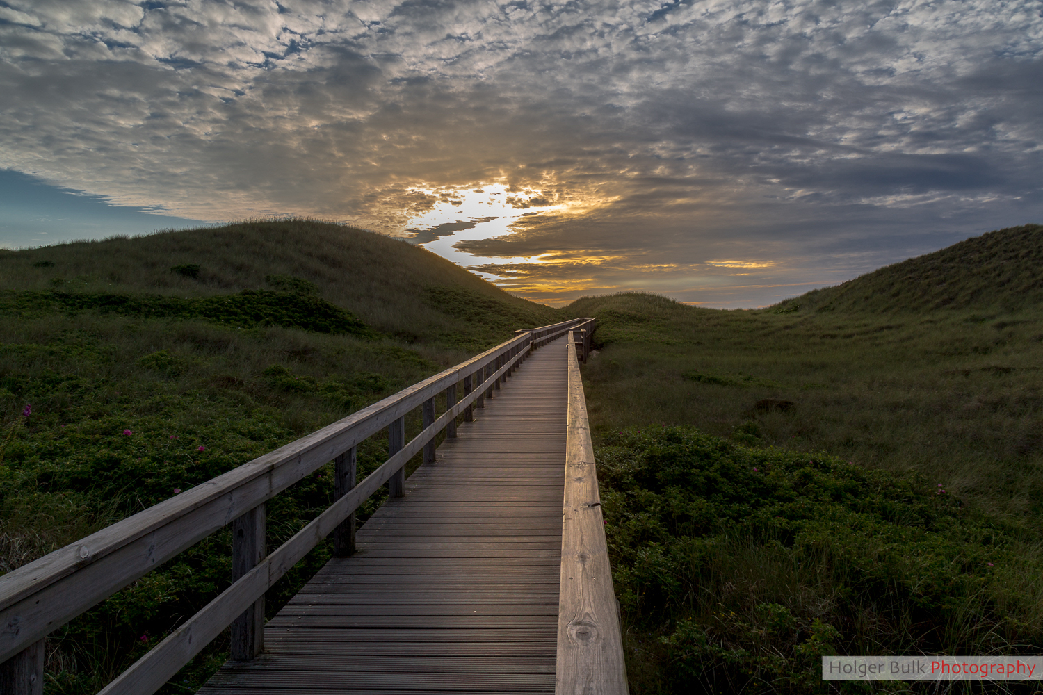 Steg im Sonnenuntergang