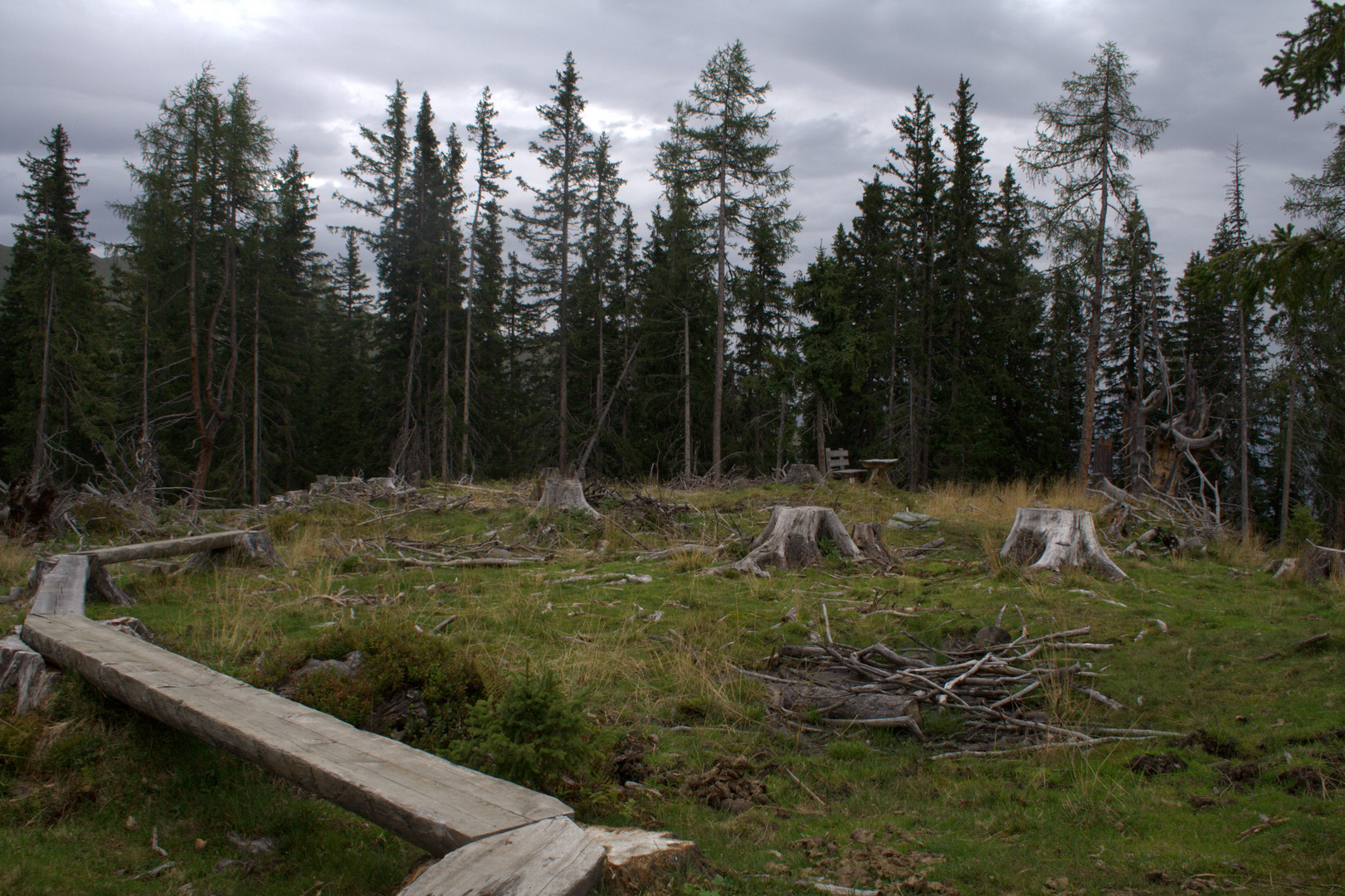 Steg im Urwald der hohen Tauern