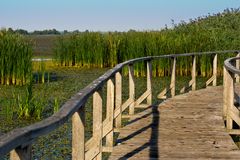 Steg im Vogelreservat