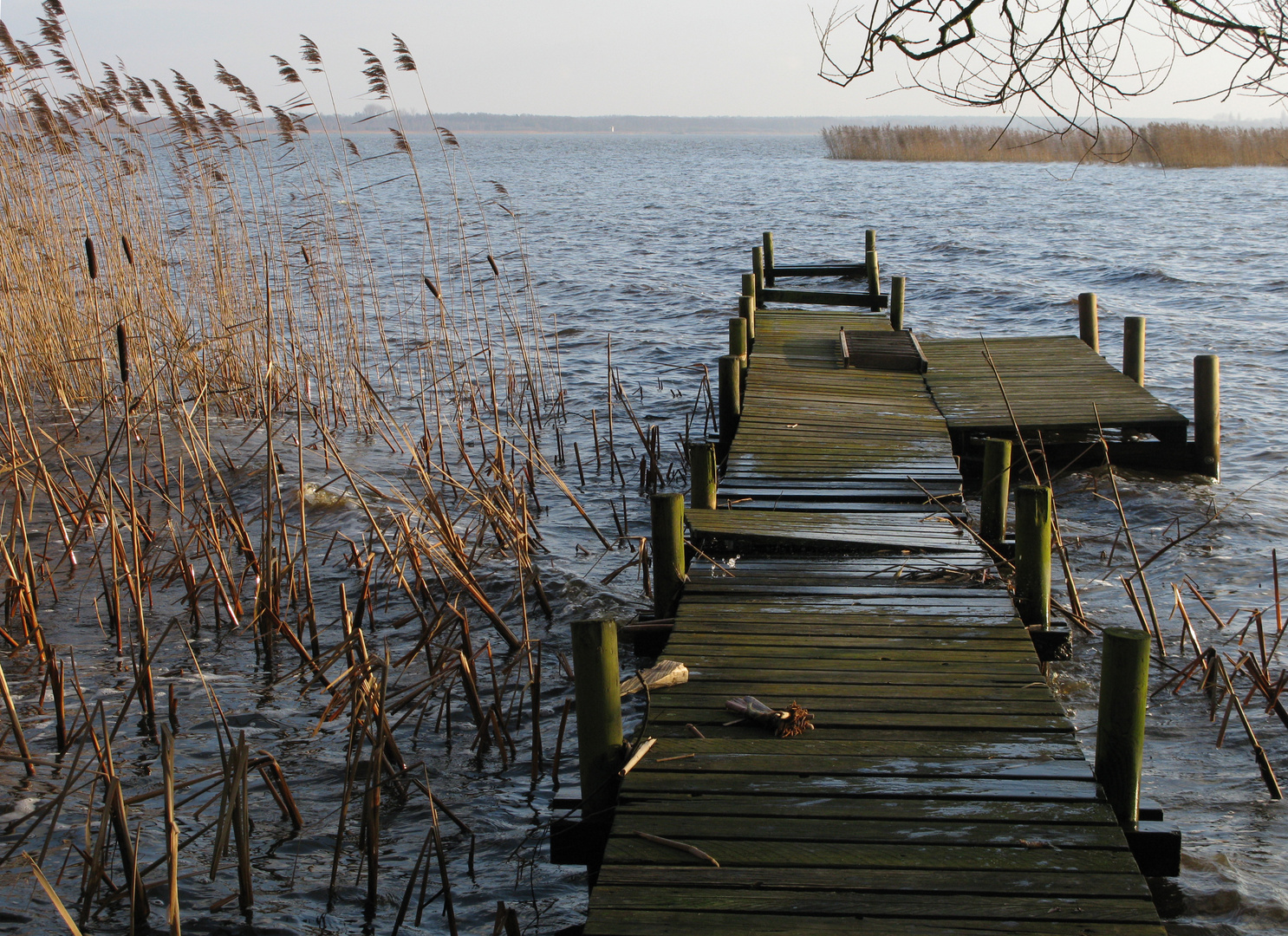 Steg im Wind