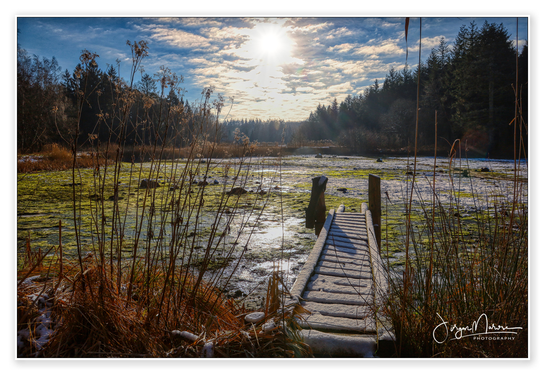 Steg im Winter