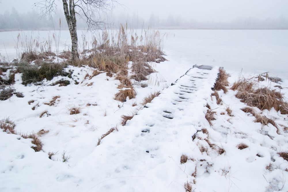 Steg im Wurzacher Ried