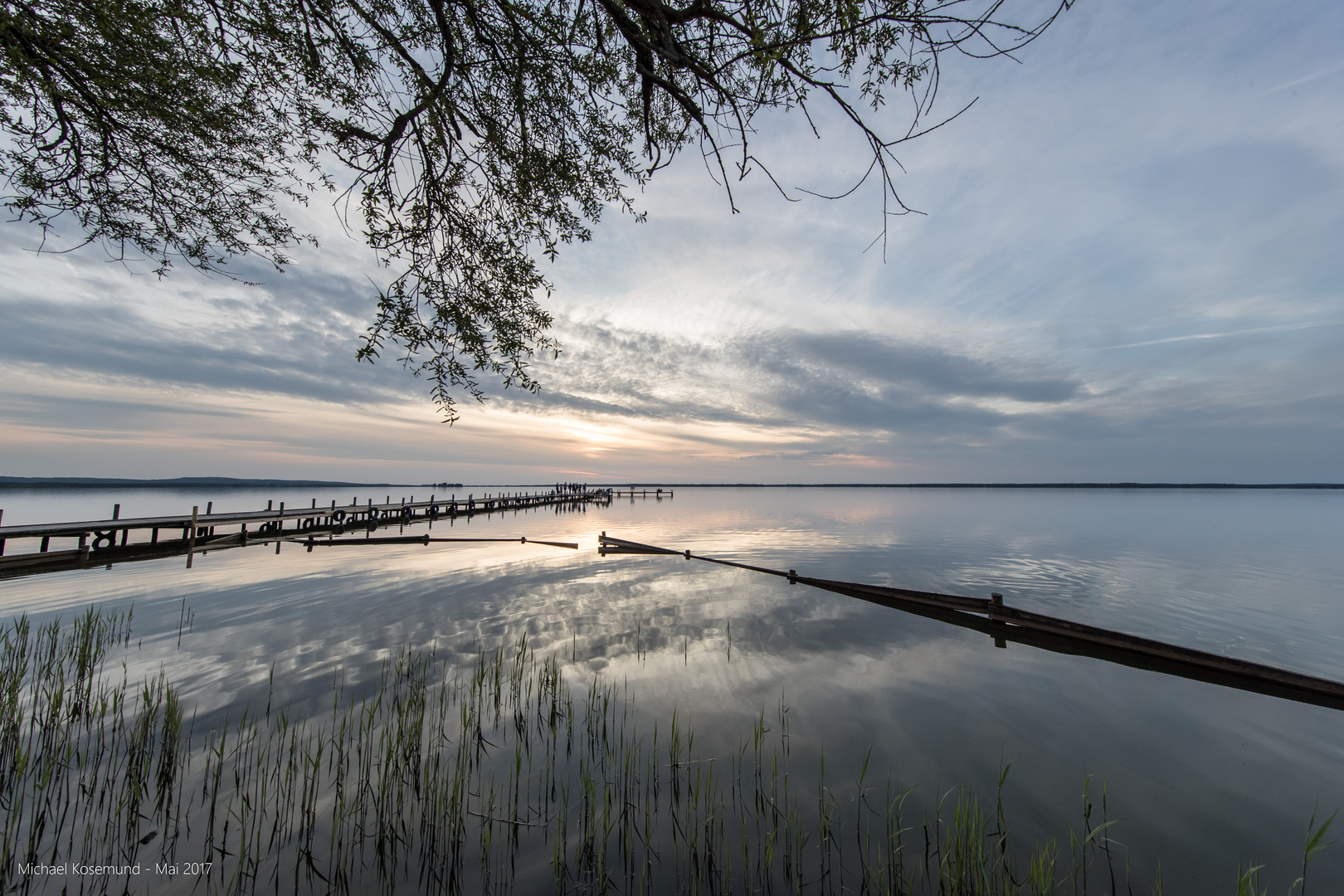 Steg in Abendstimmung - Steinhuder Meer