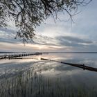 Steg in Abendstimmung - Steinhuder Meer