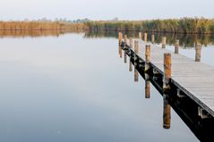 Steg in den Neusiedlersee