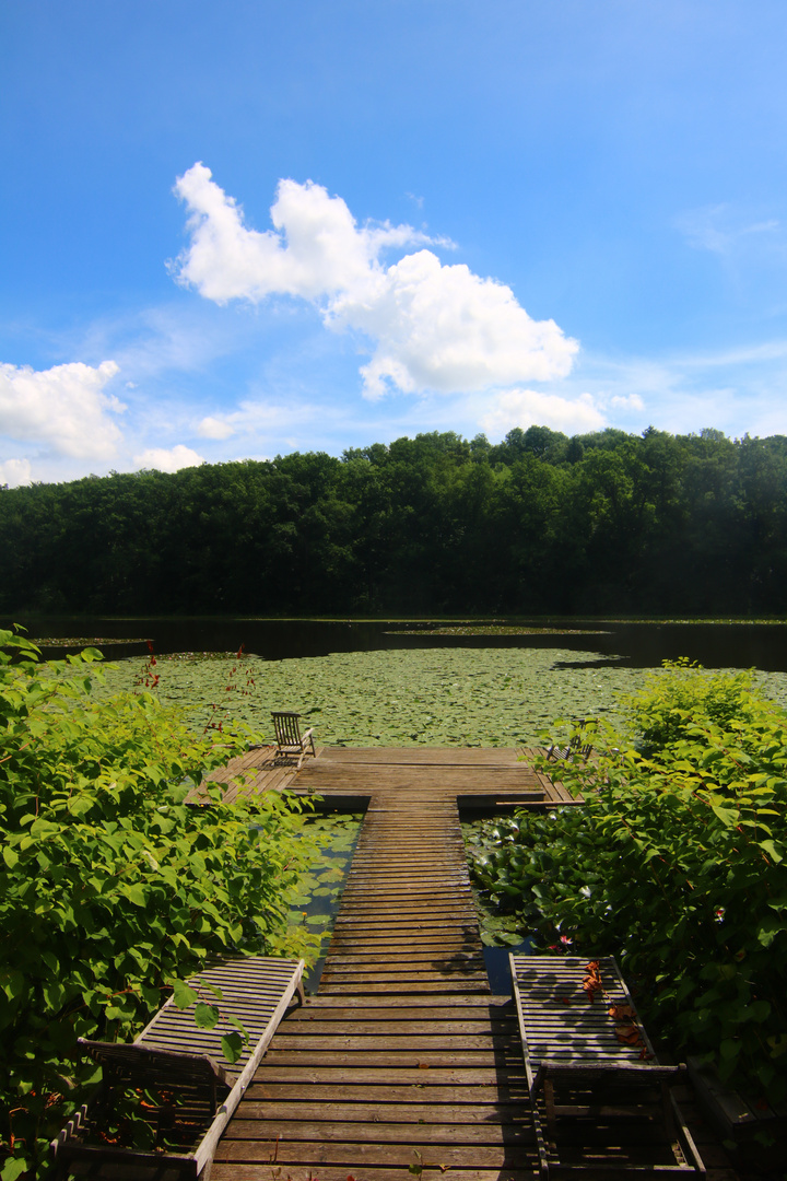 Steg in den Teich.. Schlosspark Dennenlohe