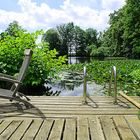 Steg in den Teich.. Schlosspark Dennenlohe