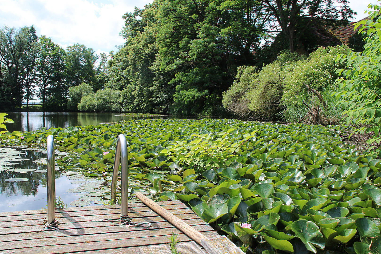 Steg in den Teich.. Schlosspark Dennenlohe