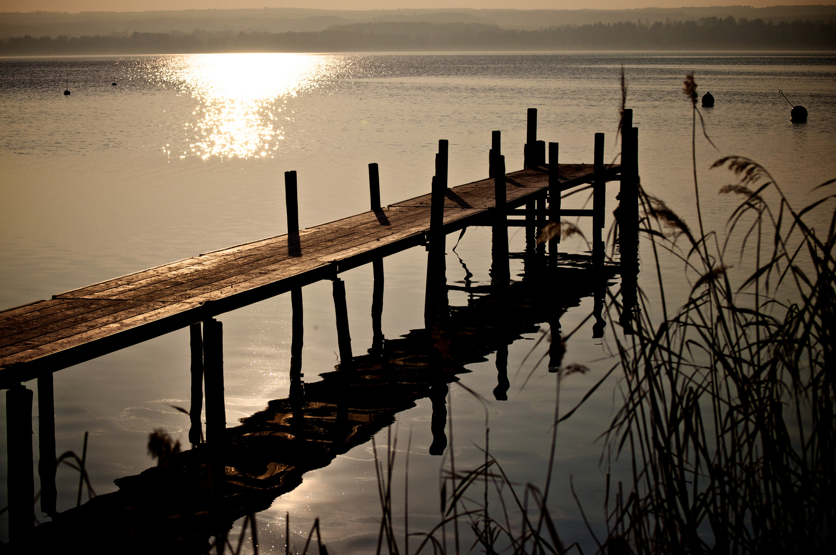 Steg in der Abendsonne