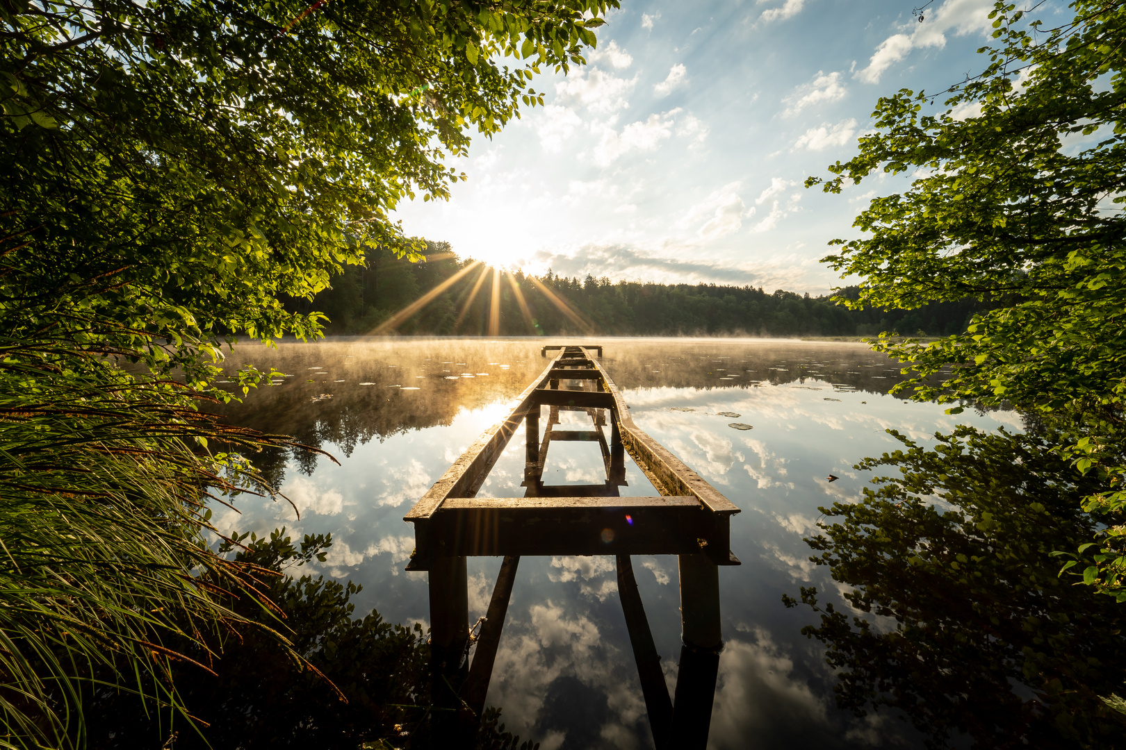 Steg in der Morgensonne