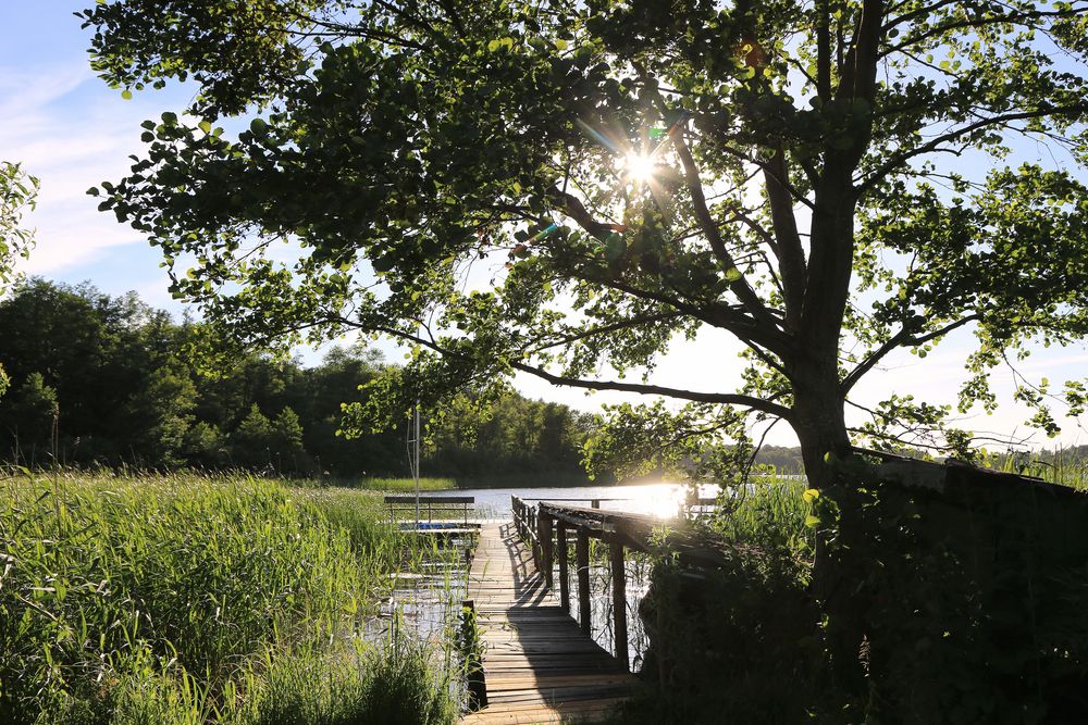 steg in der sonne Foto & Bild landschaft, bach, fluss & see, see