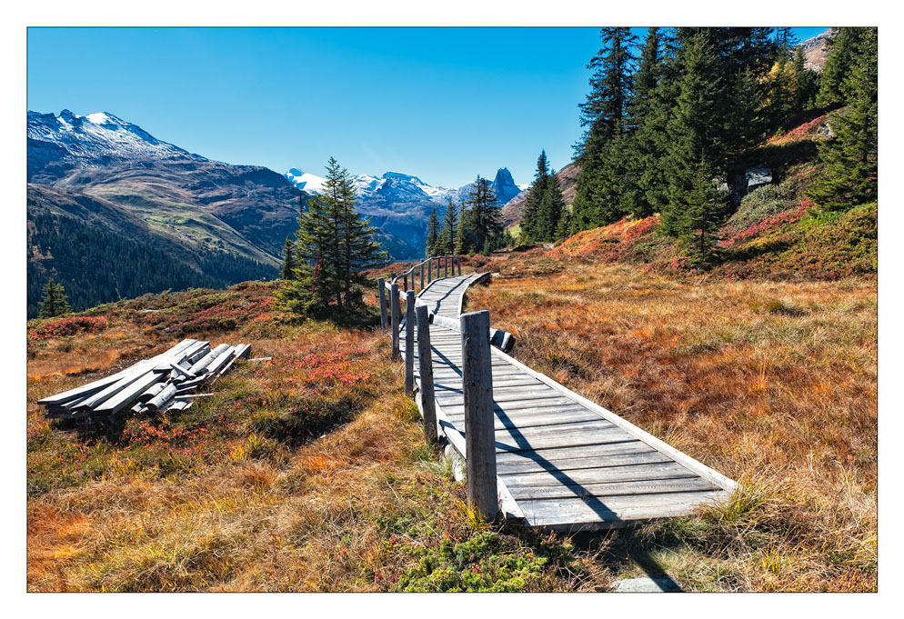 Steg über das Hochmoor