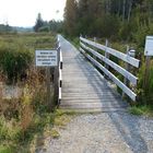 Steg zum Bannwald im Pfrunger Ried/Ostrach