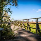 Steg zum Federsee