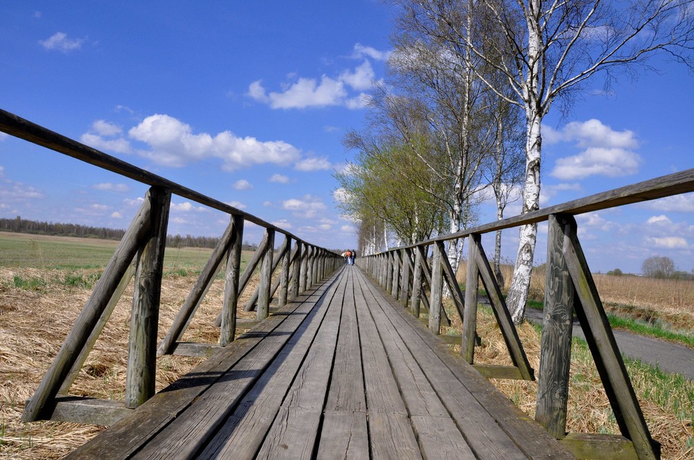 Steg zum Federsee