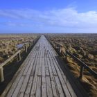 Steg zum Strand in der Munkmarscher Heide