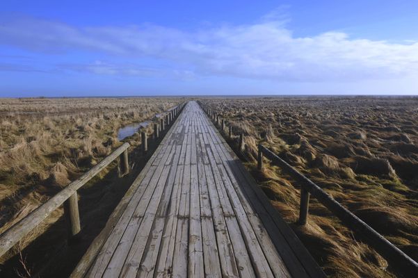 Steg zum Strand in der Munkmarscher Heide