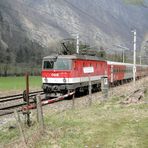 Stegenwald an der Salzach 2012 am Übergang