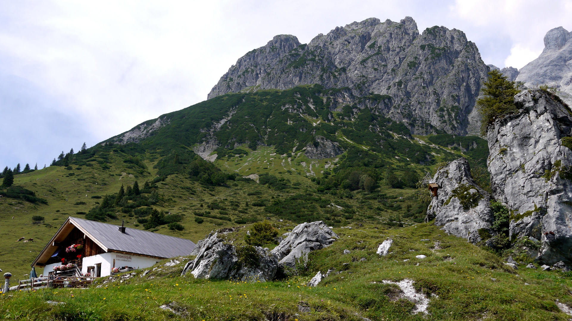 Stegmoos-Alm 1450 m