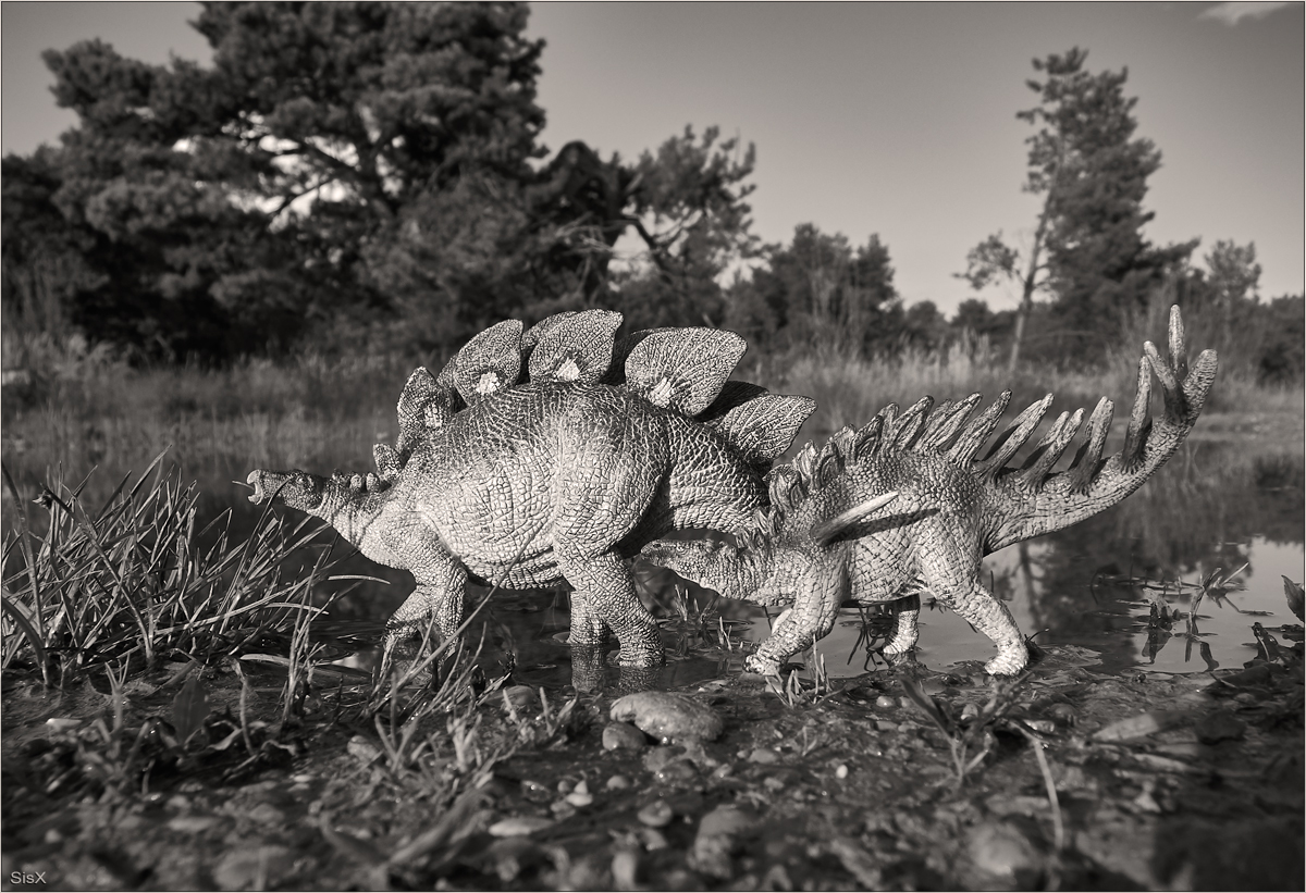 Stegosaurus