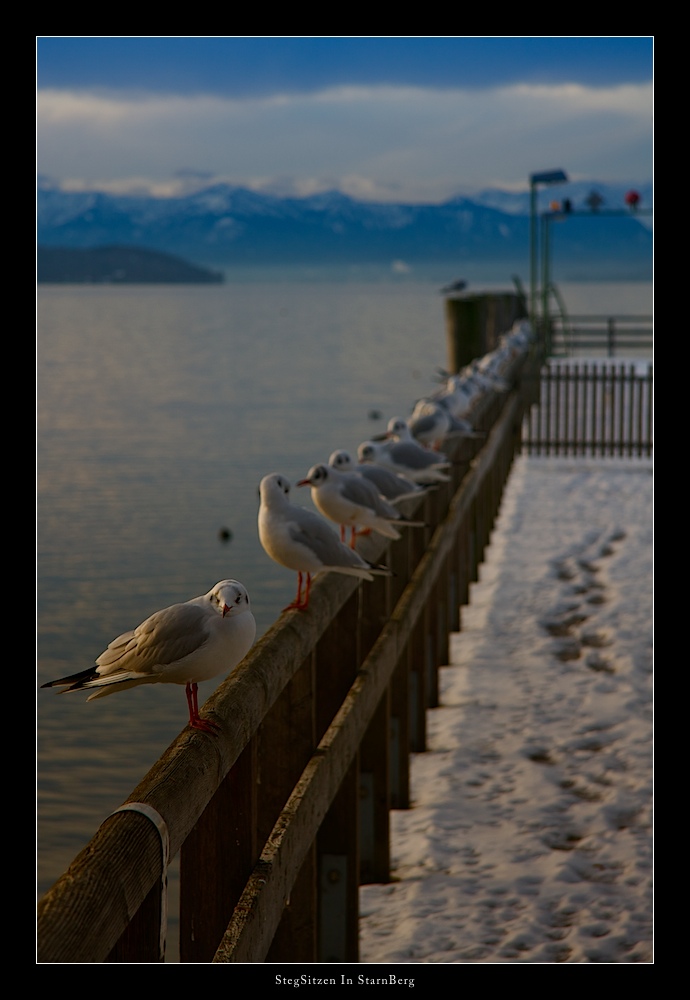 StegSitzen In StarnBerg